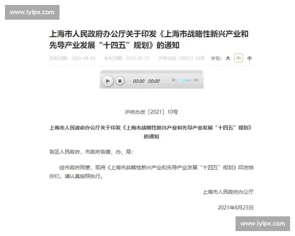 快速推进策略下企业创新与项目执行效率全面提升路径研究